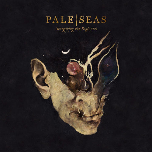 Pale Seas - Stargazing for beginners (LP)