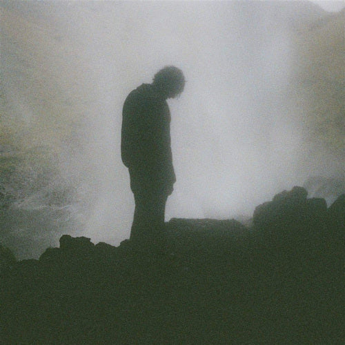 Palmistry - Afterlife (LP)