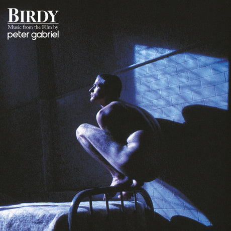 Peter Gabriel - Birdy (LP) - Velvet Music