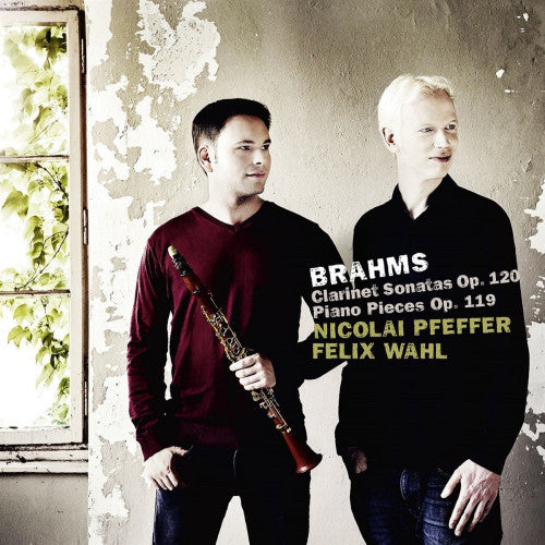 Johannes Brahms - Clarinet & piano op.119 & 120 (CD) - Velvet Music