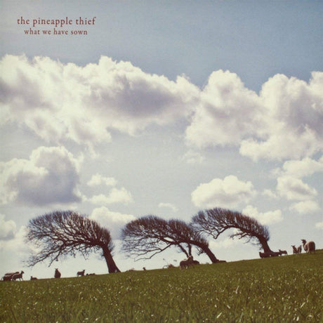 Pineapple Thief - What we have sown (CD) - Velvet Music