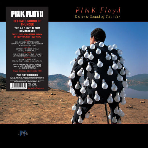 Pink Floyd - Delicate sound of thunder (LP) - Velvet Music