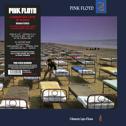 Pink Floyd - A momentary lapse of reason (LP) - Velvet Music