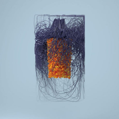 Plaid - Polymer (LP) - Velvet Music