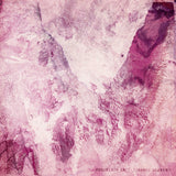 Porcelain Raft - Strange weekend (LP) - Velvet Music
