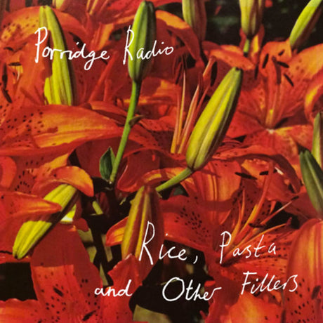 Porridge Radio - Rice, pasta and other fillers (LP) - Velvet Music