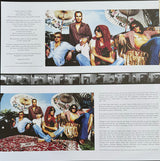 Stone Temple Pilots - Shangri-La Dee Da (LP) - Velvet Music