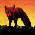 Prodigy - Day is my enemy (CD) - Velvet Music