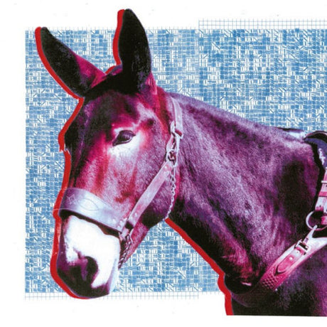 Protomartyr - Ultimate success today (LP) - Velvet Music