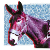 Protomartyr - Ultimate success today (LP) - Velvet Music