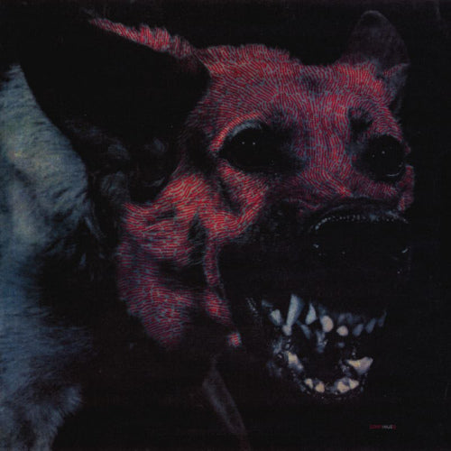 Protomartyr - Under color of official right (LP) - Velvet Music