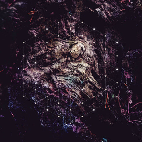 Psychonaut - Unfold the god man (CD) - Velvet Music