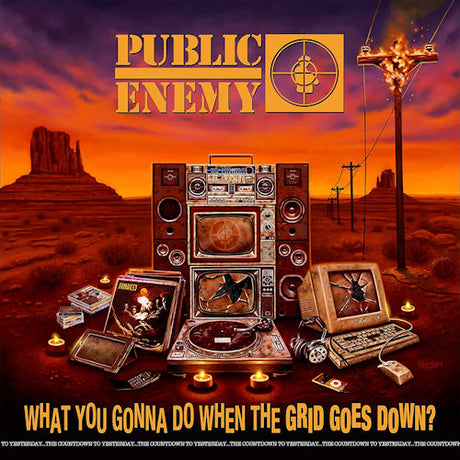 Public Enemy - What you gonna do when the grid goes down? (CD)