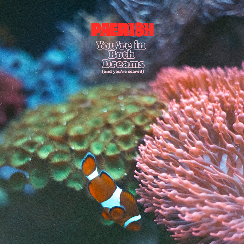 Paerish - You're in both dreams (and you're scared) (CD) - Velvet Music