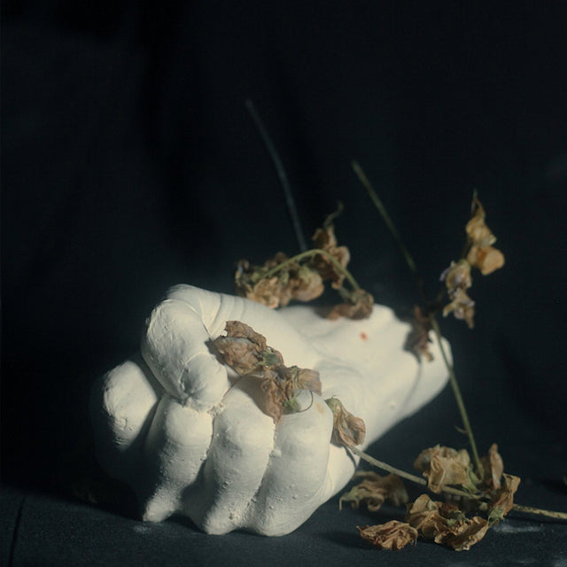 Pain Magazine - Violent god (CD) - Velvet Music