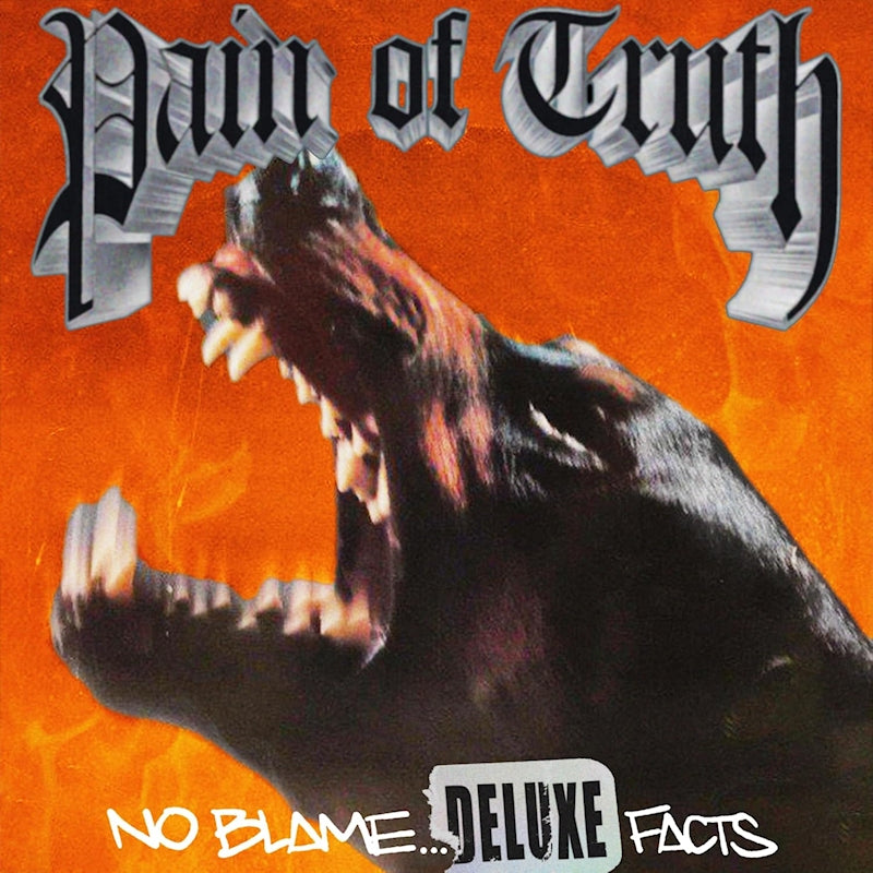 Pain Of Truth - No blame... deluxe facts (CD extra/enhanced)