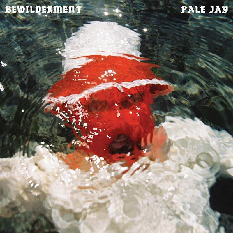 Pale Jay - Bewilderment (CD) - Velvet Music
