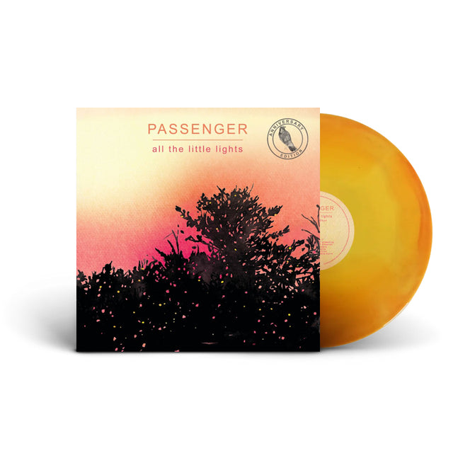 Passenger - All the little lights: anniversary edition (LP) - Velvet Music