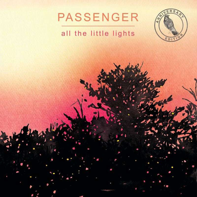 Passenger - All the little lights: anniversary edition (LP) - Velvet Music