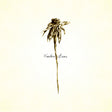 Patrick Watson - Wooden arms (LP)