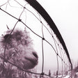 Pearl Jam - Vs. (30th anniversary edition) (LP)