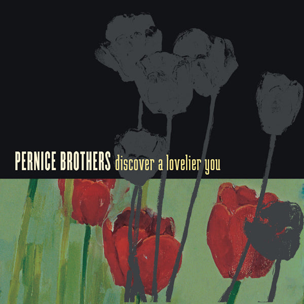 Pernice Brothers - Discover a lovelier you (CD) - Velvet Music
