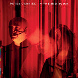 Peter Gabriel - In The Big Room (LP) - Velvet Music