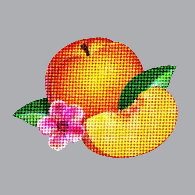 Phoenix - Bankrupt! (CD) - Velvet Music