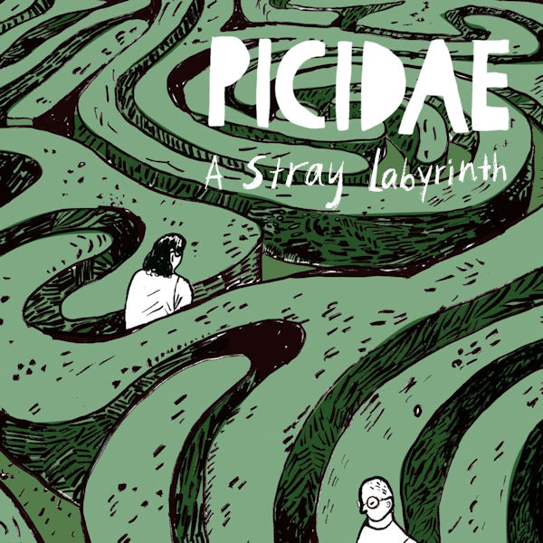 Picidae - A stray labyrinth (CD) - Velvet Music