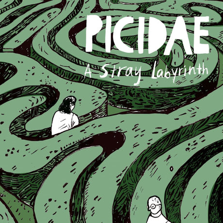 Picidae - A stray labyrinth (LP) - Velvet Music