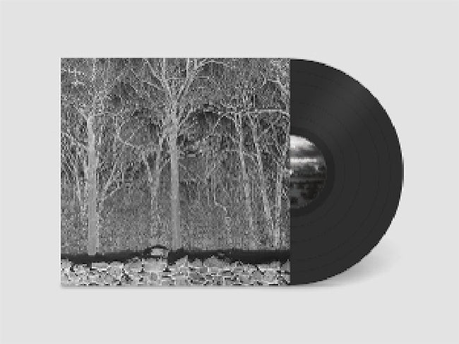 Pile - Sunshine and balance beams (LP)
