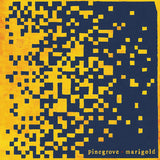Pinegrove - Marigold (CD) - Velvet Music
