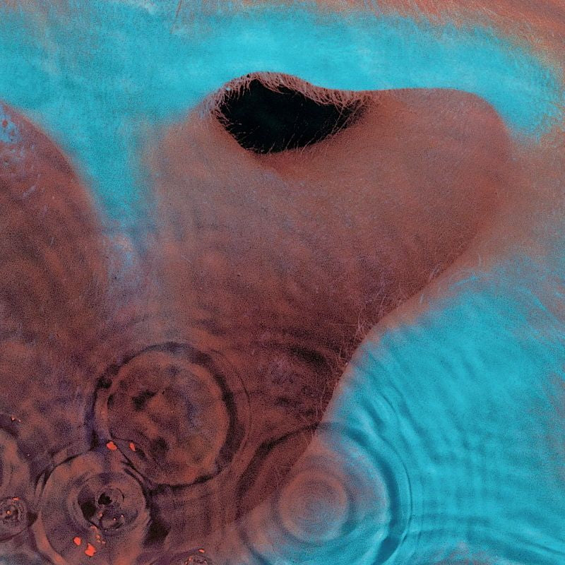 Pink Floyd - Meddle (CD)