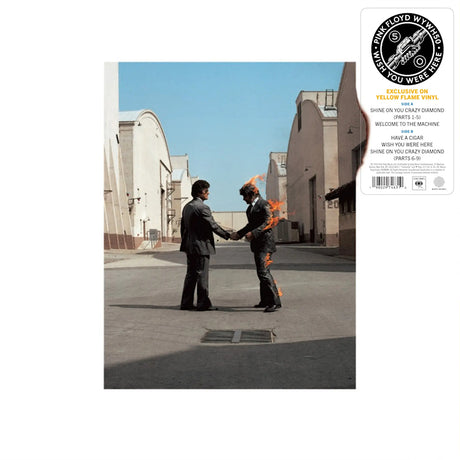 Pink Floyd - Wish you were here (LP) - Velvet Music