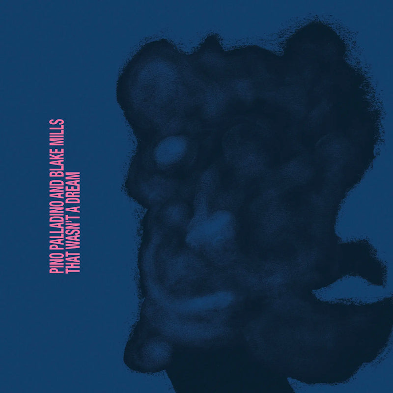 Pino Palladino &amp; Blake Mills - That wasn't a dream (LP)
