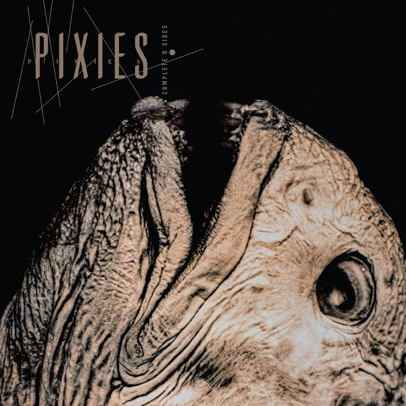 Pixies - Complete b-sides: 1988-97 (LP)