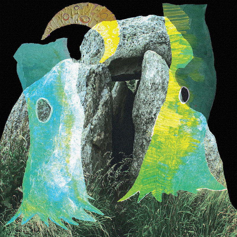 Plantoid - Flare (LP) - Velvet Music