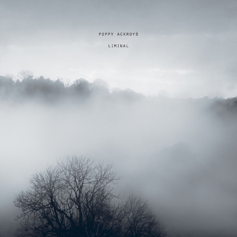 Poppy Ackroyd - Liminal (LP)