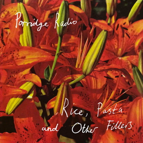 Porridge Radio - Rice, pasta and other fillers (LP) - Velvet Music