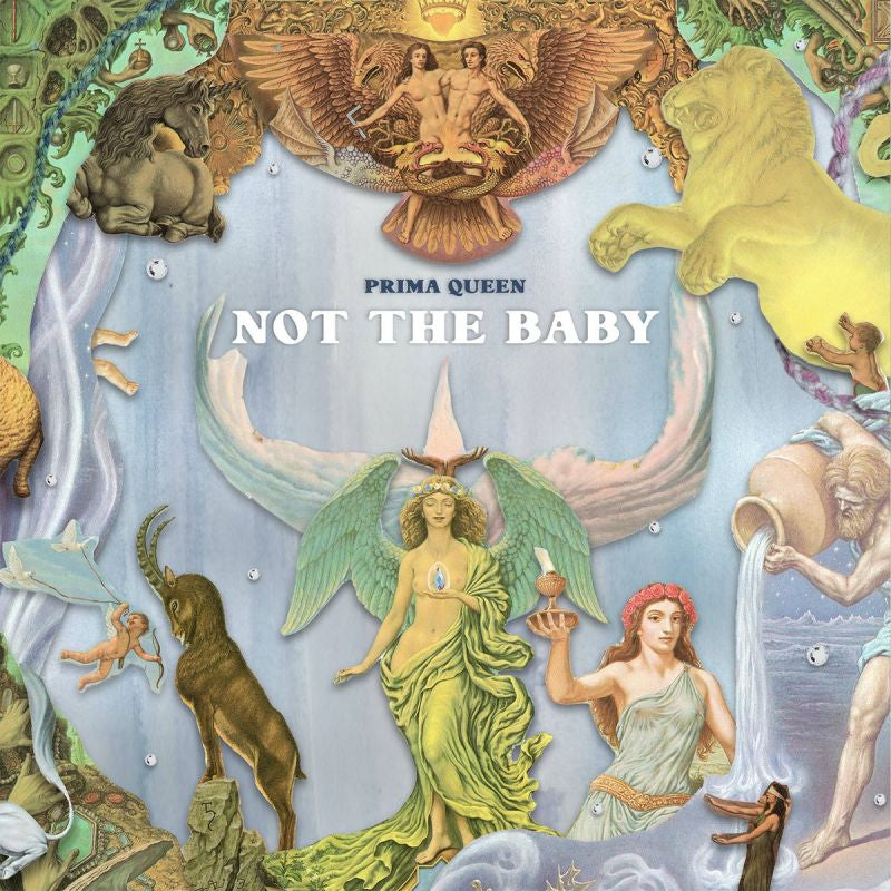 Prima Queen - Not the baby (LP)