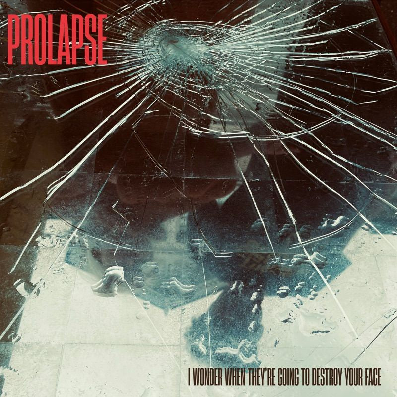 Prolapse - I wonder when they're going to destroy your face (LP) - Velvet Music