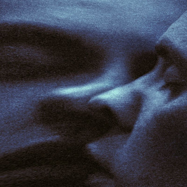 Puma Blue - Croak dream (LP) - Velvet Music