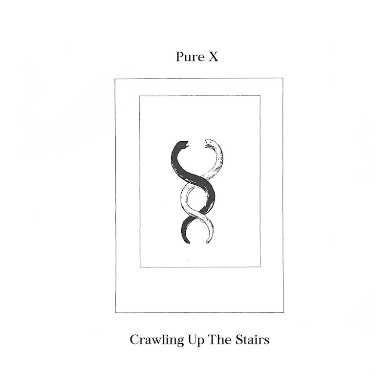 Pure X - Crawling up the stairs (LP)