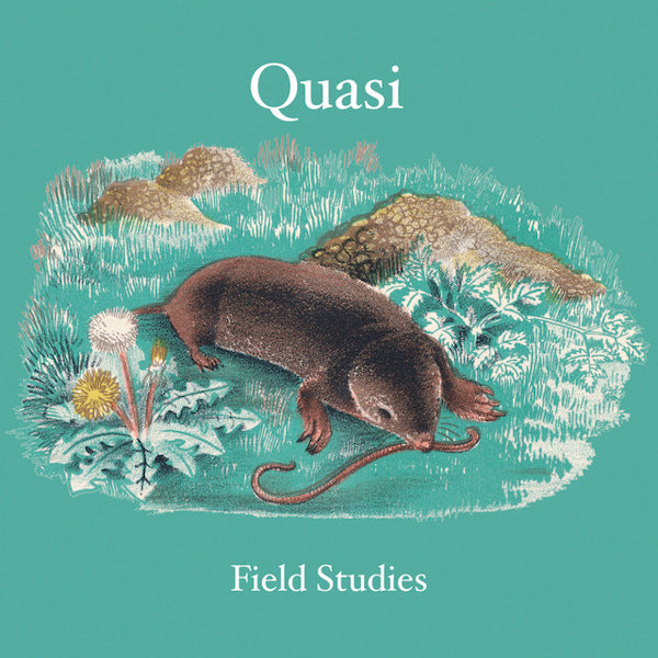 Quasi - Études de terrain (LP)
