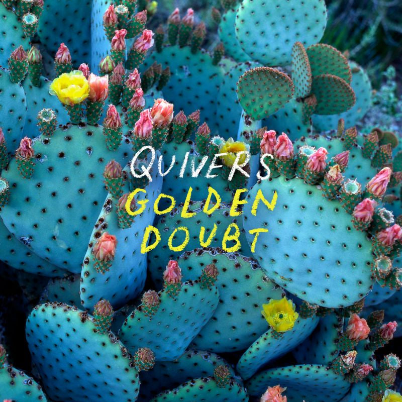 Quivers - Golden doubt (LP) - Velvet Music