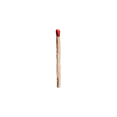 Rammstein - Rammstein (CD) - Velvet Music