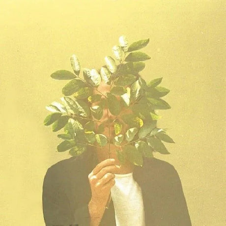 Fkj - French kiwi juice (LP) - Velvet Music