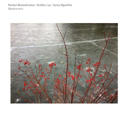 Norbert Rodenkirchen - Opalescence (LP) - Velvet Music