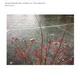 Norbert Rodenkirchen - Opalescence (LP) - Velvet Music