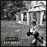 Roosbeef - Lucky (CD) - Velvet Music
